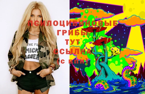 хмурый Верхний Тагил